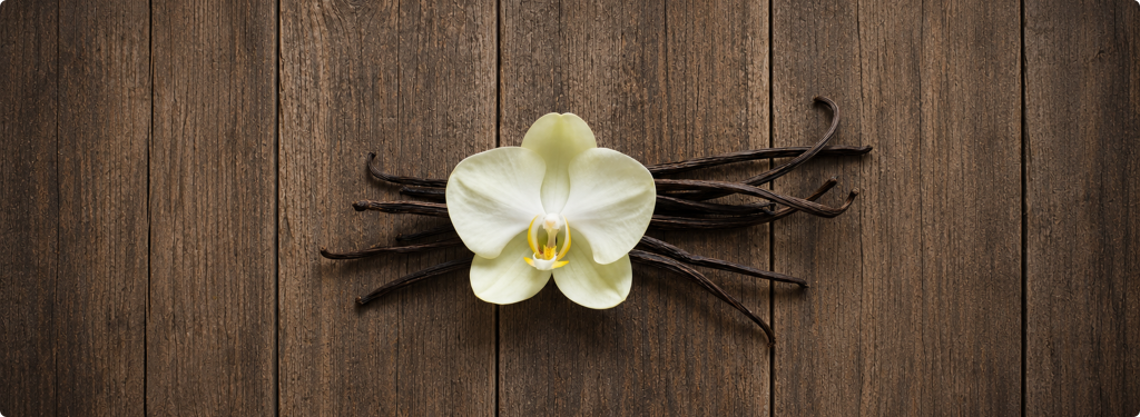 Planifolia vs Tahitensis: Choosing the Right Vanilla for Your Product