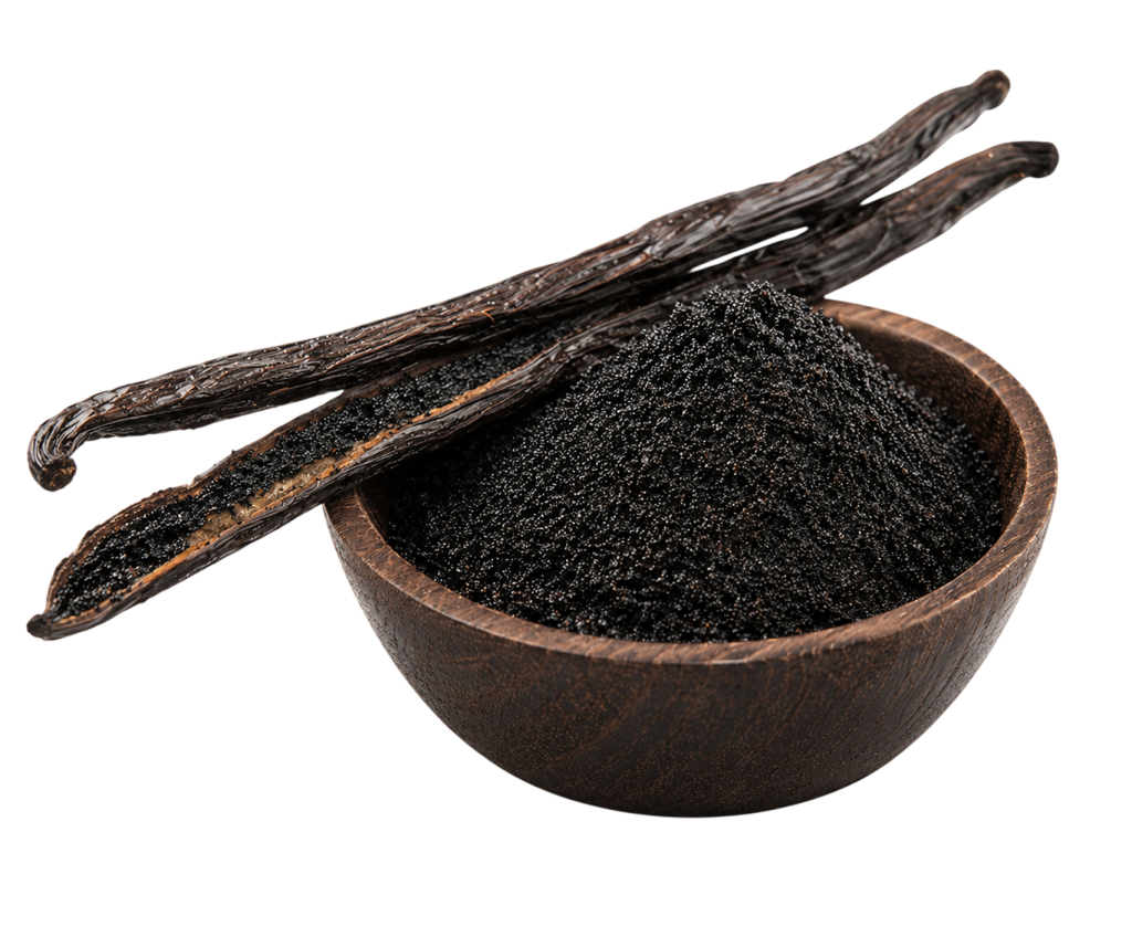 Vanilla Seeds